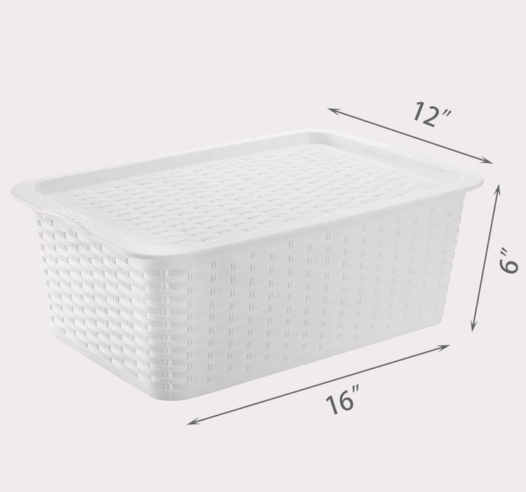 Storage Bin with Lid