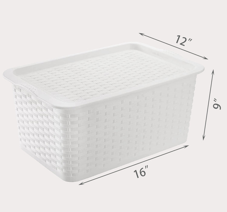 Storage Bin with Lid
